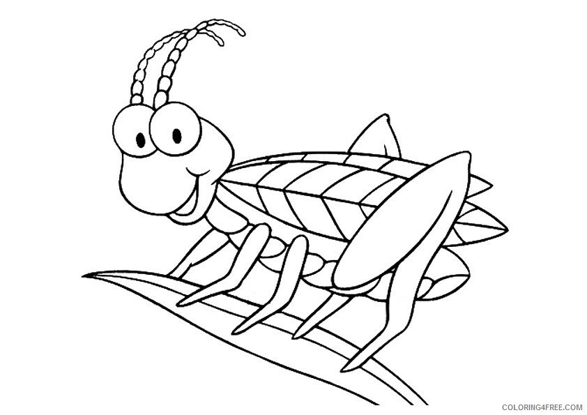 Bug Coloring Sheets Animal Coloring Pages Printable 2021 0464 Coloring4free