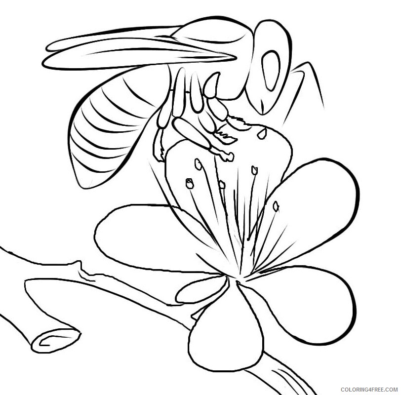 Bug Coloring Sheets Animal Coloring Pages Printable 2021 0476 Coloring4free