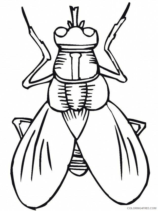 Bug Coloring Sheets Animal Coloring Pages Printable 2021 0478 Coloring4free