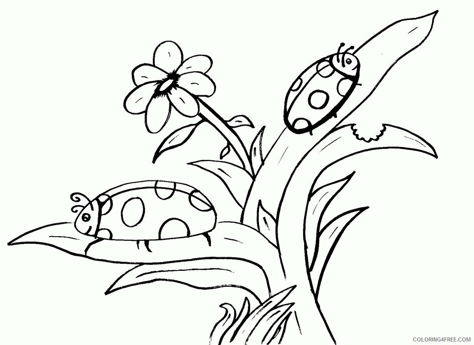 Bug Coloring Sheets Animal Coloring Pages Printable 2021 0479 Coloring4free