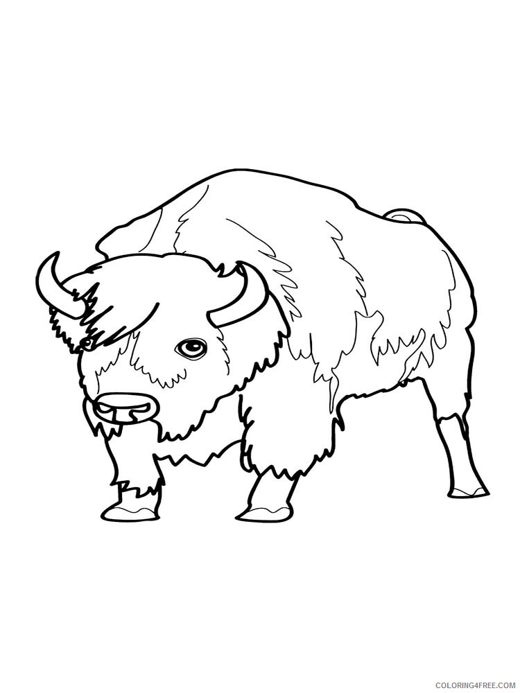 Bull Coloring Pages Animal Printable Sheets bull 17 2021 0593 Coloring4free