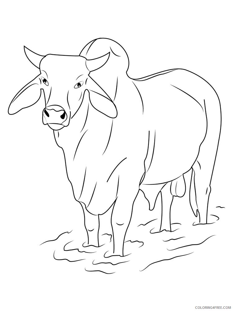 Bull Coloring Pages Animal Printable Sheets bull 26 2021 0598 Coloring4free