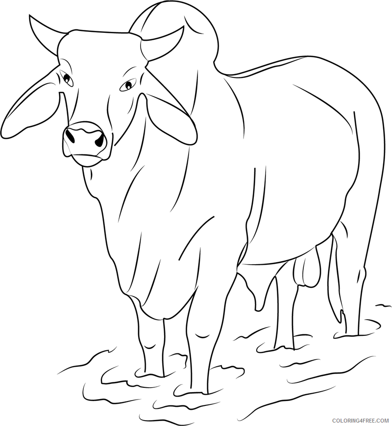 Bull Coloring Sheets Animal Coloring Pages Printable 2021 0506 Coloring4free