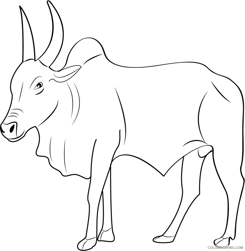 Bull Coloring Sheets Animal Coloring Pages Printable 2021 0509 Coloring4free