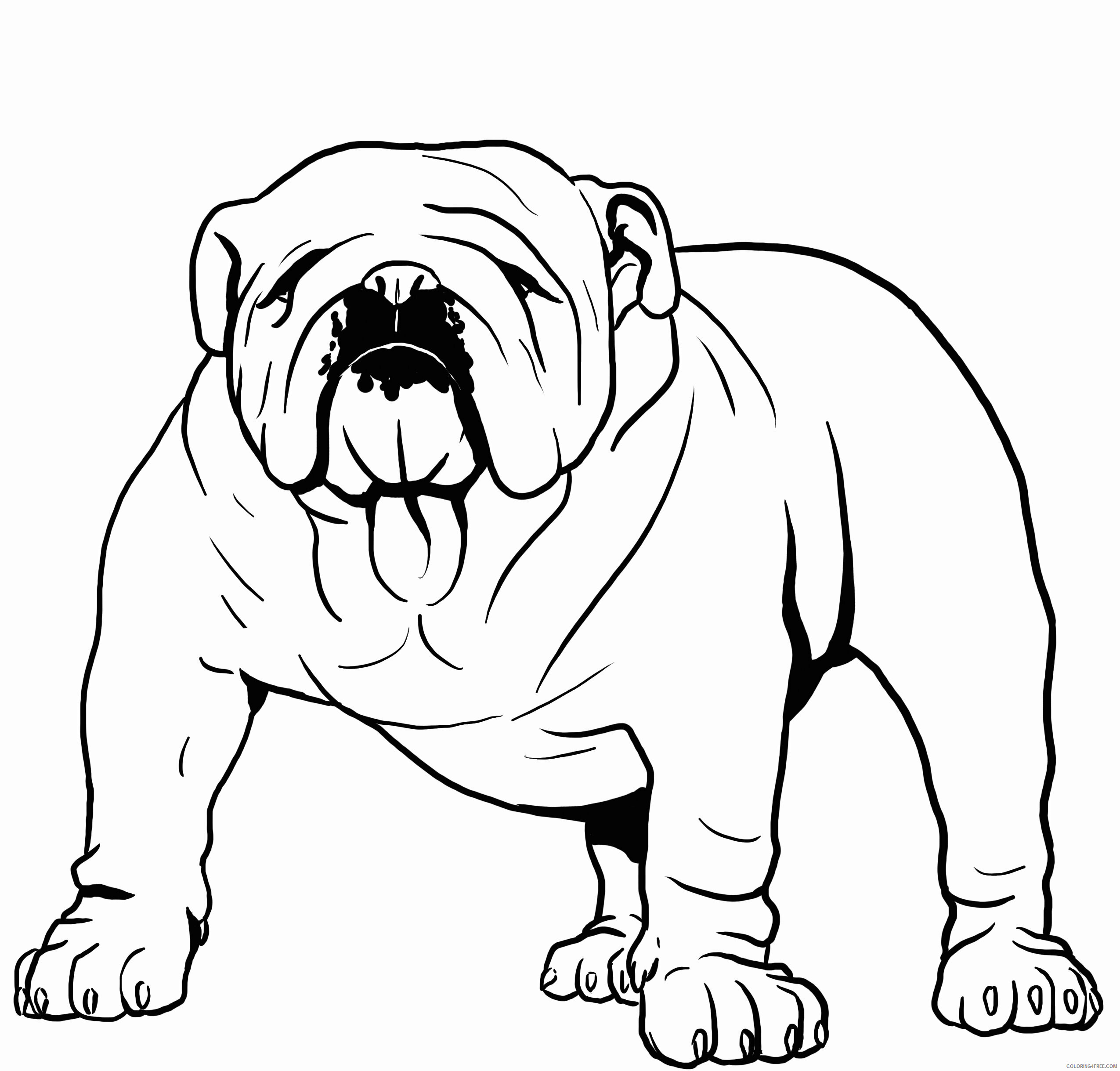 Bulldog Coloring Pages Animal Printable Sheets Bulldog 2021 0612 Coloring4free