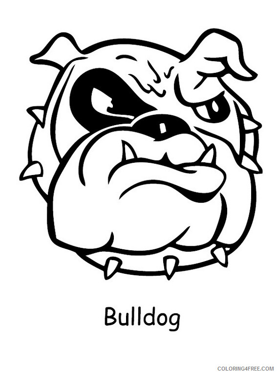 Bulldog Coloring Pages Animal Printable Sheets Bulldog Head 2021 0617 Coloring4free