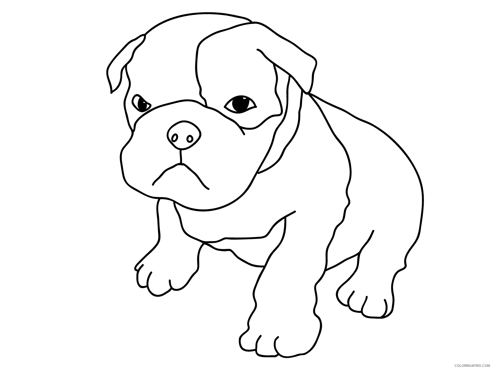 Bulldog Coloring Pages Animal Printable Sheets Bulldog Puppy 2021 0620 Coloring4free