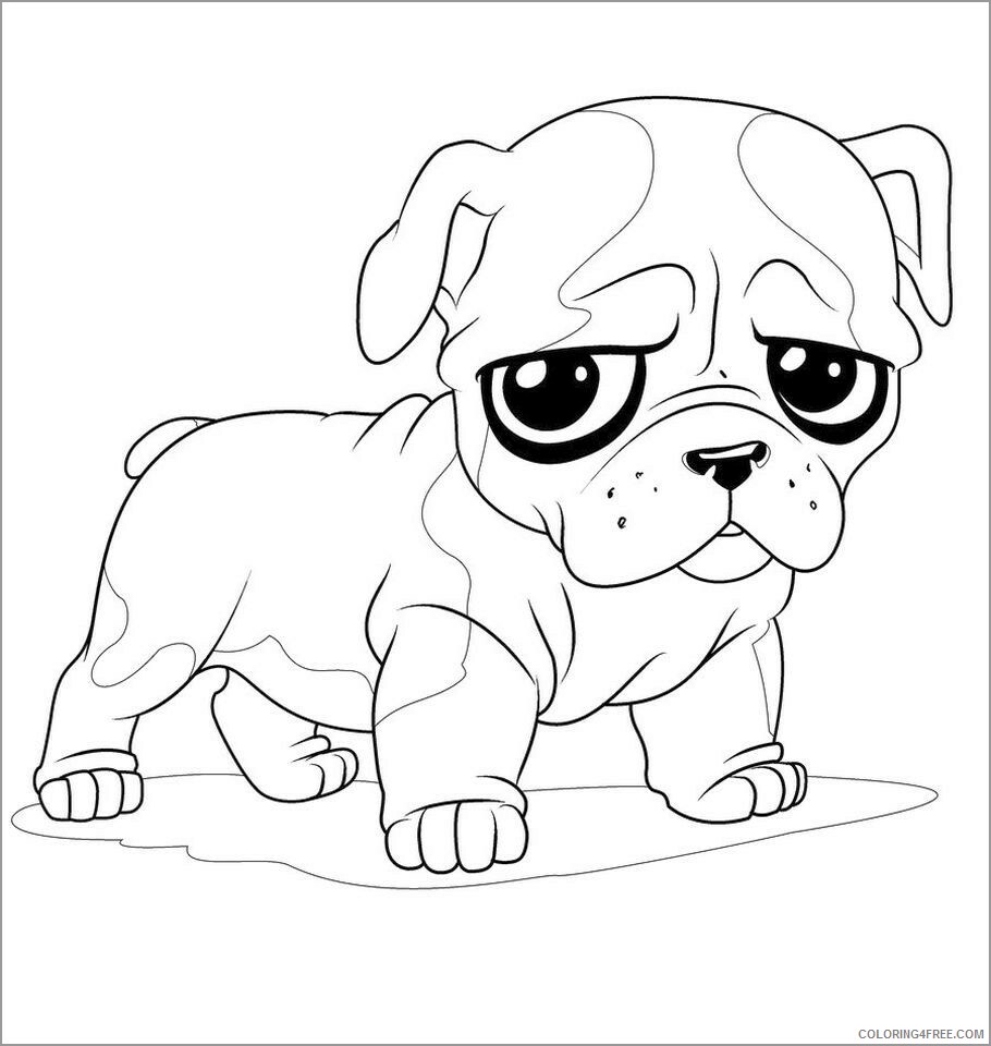 Bulldog Coloring Pages Animal Printable Sheets baby bulldog 2021 0611 Coloring4free