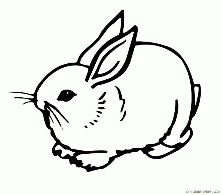Bunny Coloring Sheets Animal Coloring Pages Printable 2021 0538 Coloring4free