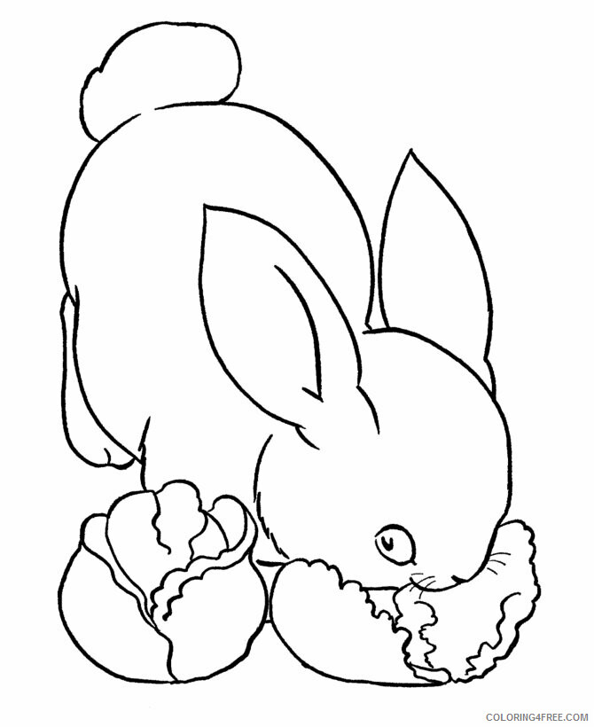 Bunny Coloring Sheets Animal Coloring Pages Printable 2021 0540 Coloring4free