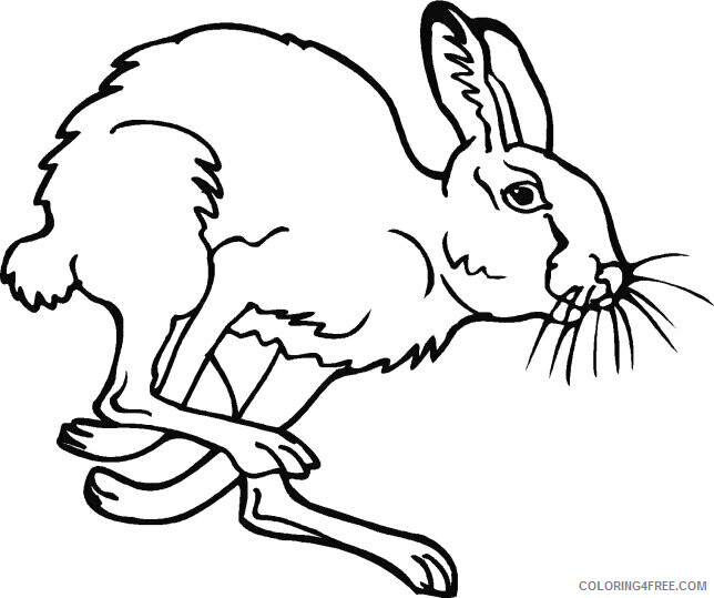 Bunny Coloring Sheets Animal Coloring Pages Printable 2021 0543 Coloring4free