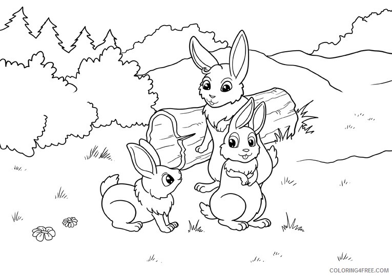 Bunny Coloring Sheets Animal Coloring Pages Printable 2021 0554 Coloring4free