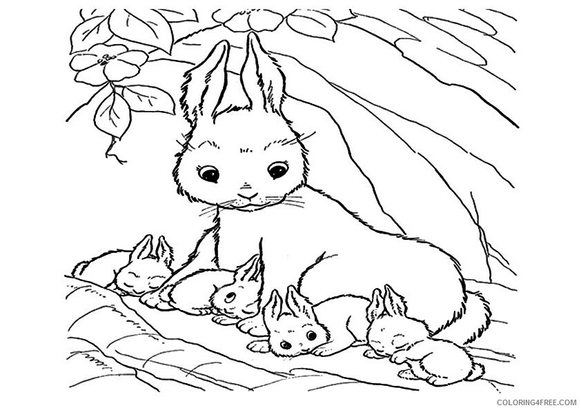 Bunny Coloring Sheets Animal Coloring Pages Printable 2021 0574 Coloring4free