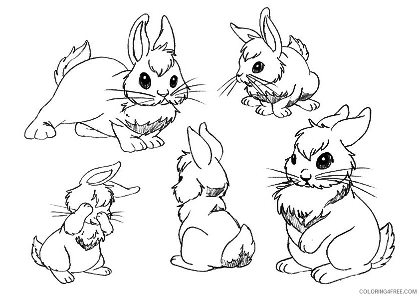 Bunny Coloring Sheets Animal Coloring Pages Printable 2021 0576 Coloring4free