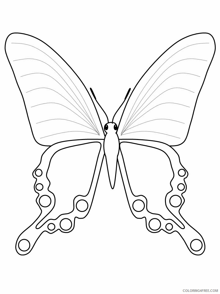 Butterfly Coloring Pages Animal Printable Sheets 8 2 2021 0640 Coloring4free