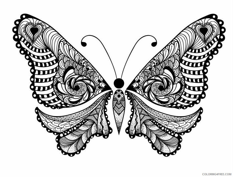 Butterfly Coloring Pages Animal Printable Sheets Advanced Butterfly 2021 0641 Coloring4free