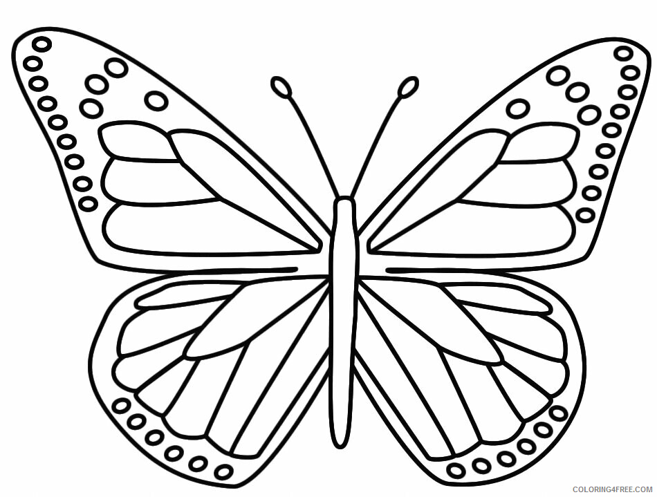 Butterfly Coloring Pages Animal Printable Sheets Butterfly 1 2021 0654 Coloring4free