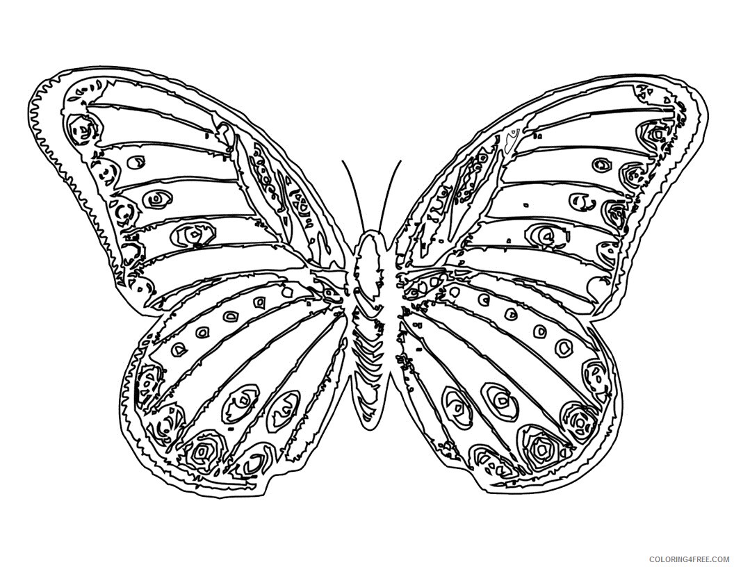 Butterfly Coloring Pages Animal Printable Sheets Butterfly For Kids 2021 0655 Coloring4free