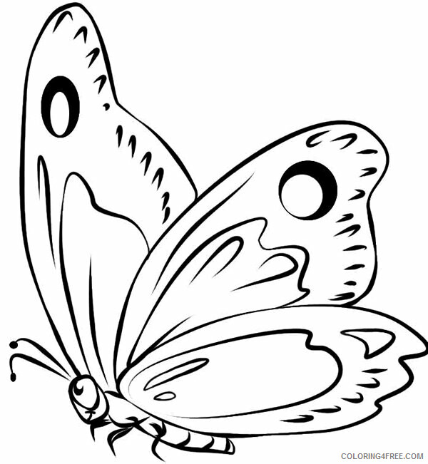 Butterfly Coloring Pages Animal Printable Sheets Butterfly Free 2021 0664 Coloring4free