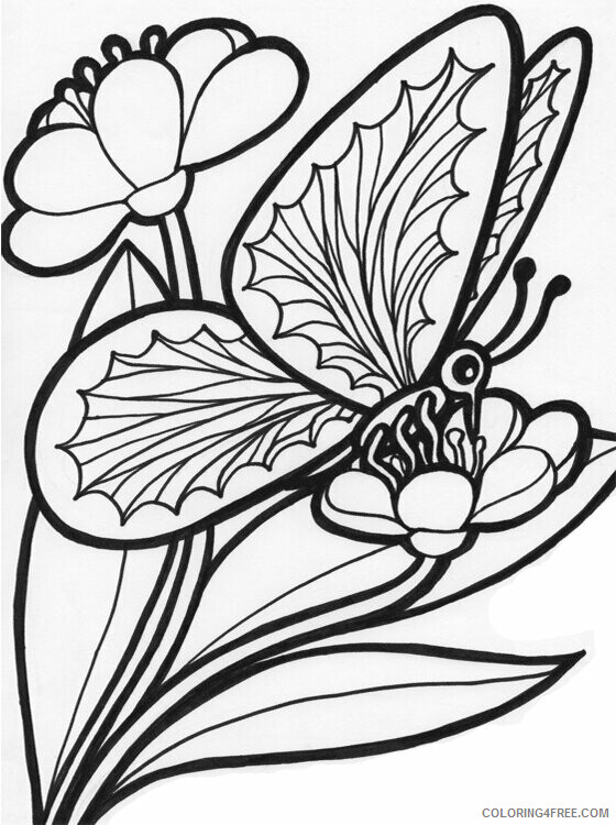 Butterfly Coloring Pages Animal Printable Sheets Butterfly to Print 2021 0665 Coloring4free