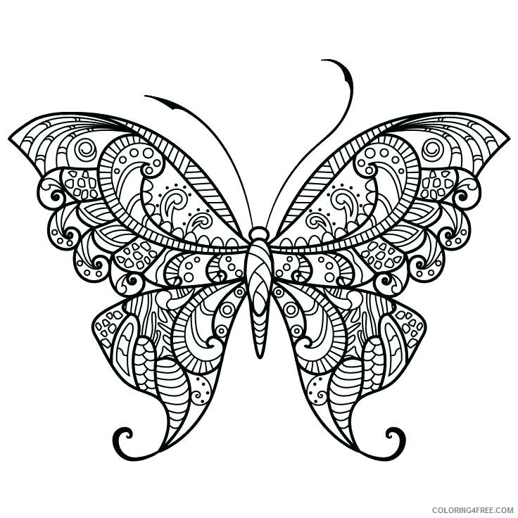 Butterfly Coloring Pages Animal Printable Sheets Detailed Butterfly 2021 0701 Coloring4free
