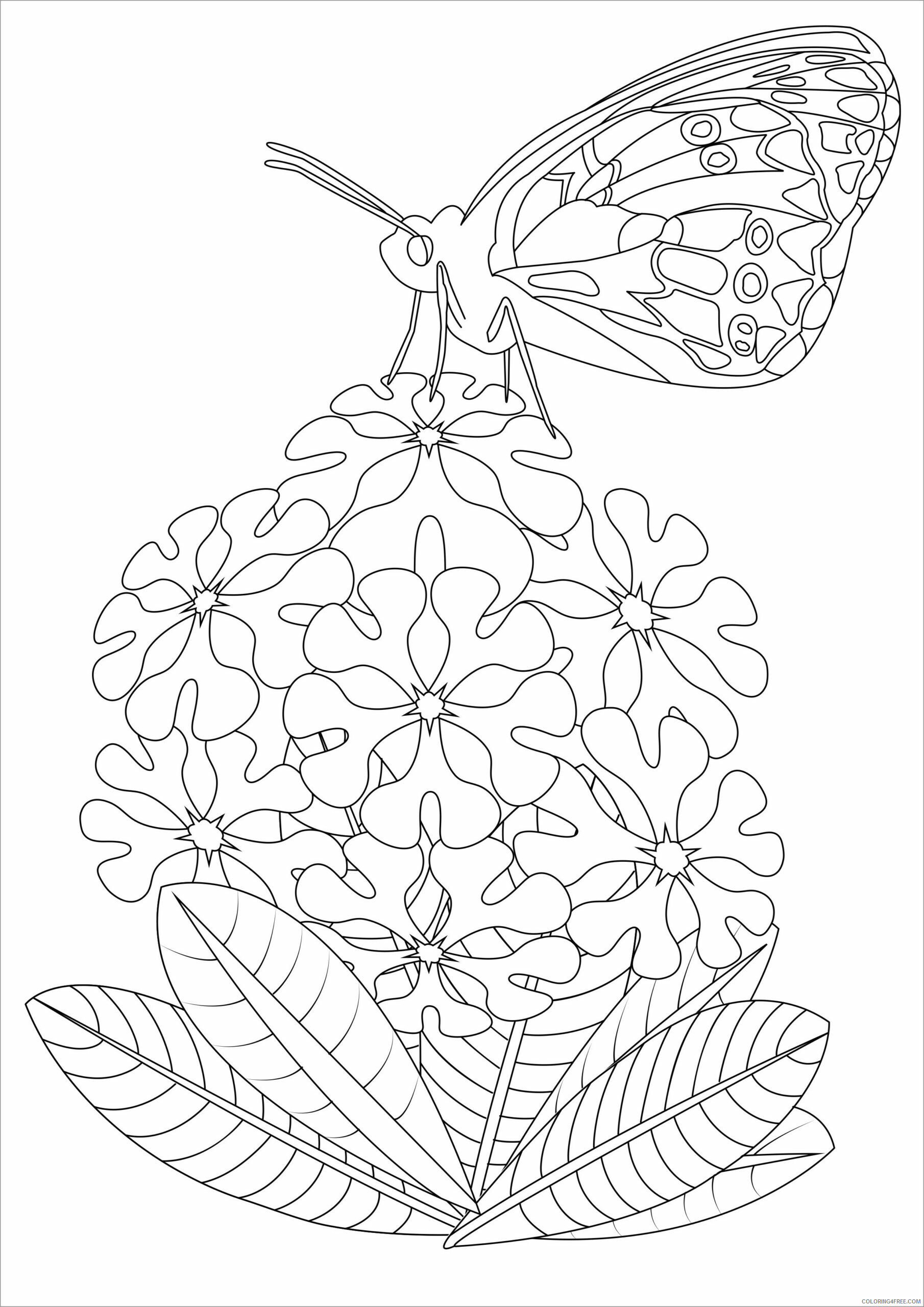 Butterfly Coloring Pages Animal Printable Sheets butterfly on flowers 2021 0670 Coloring4free
