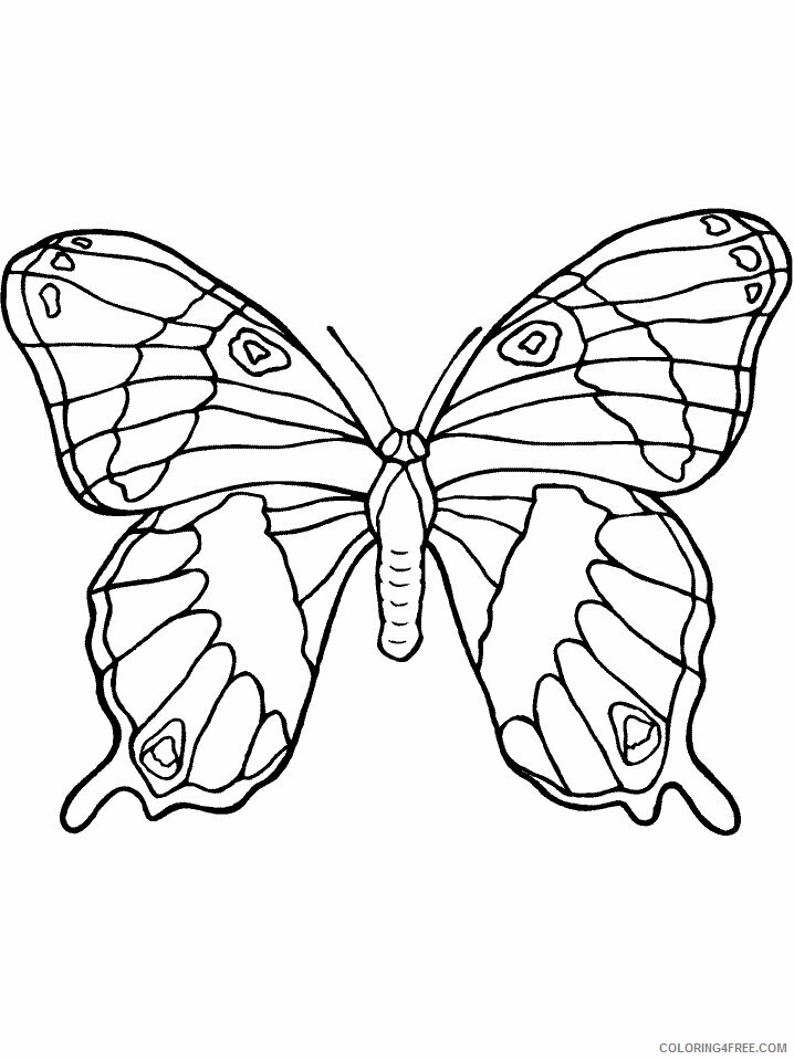 Butterfly Coloring Pages Animal Printable Sheets butterfly02 2021 0648 Coloring4free