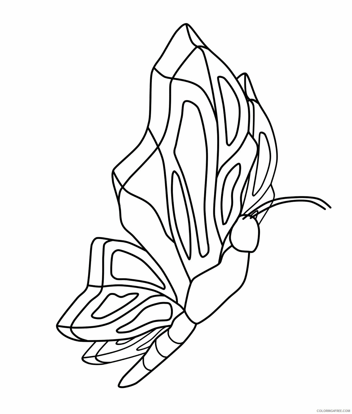 Butterfly Coloring Pages Animal Printable Sheets of Butterfly 2021 0700 Coloring4free