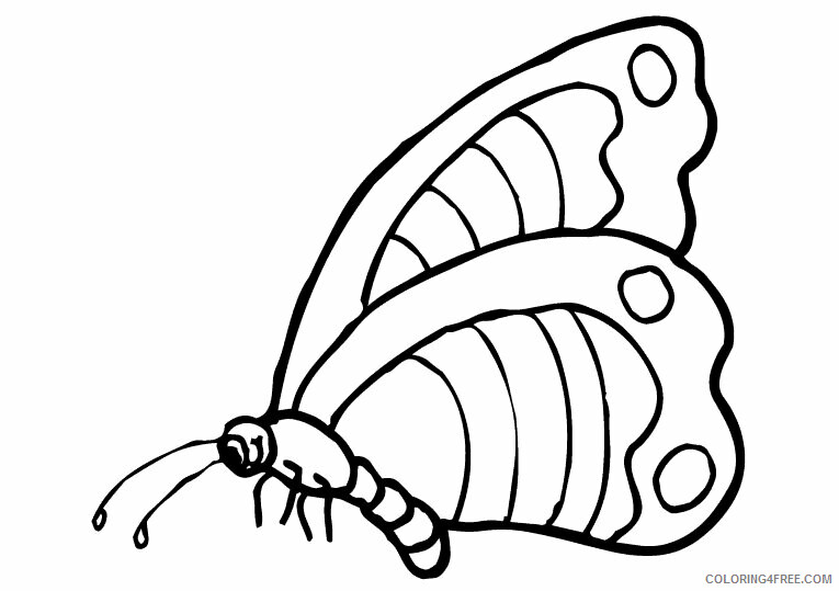 Butterfly Coloring Sheets Animal Coloring Pages Printable 2021 0587 ...