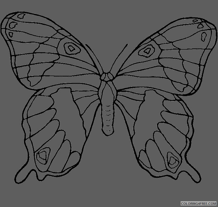 Butterfly Coloring Sheets Animal Coloring Pages Printable 2021 0592 Coloring4free