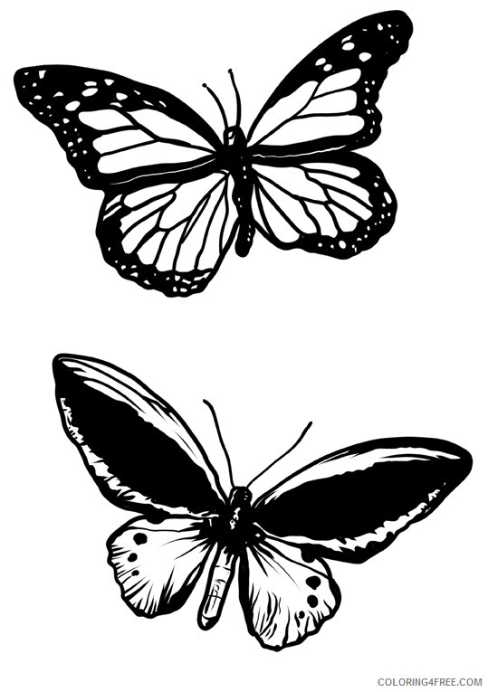 Butterfly Coloring Sheets Animal Coloring Pages Printable 2021 0605 Coloring4free