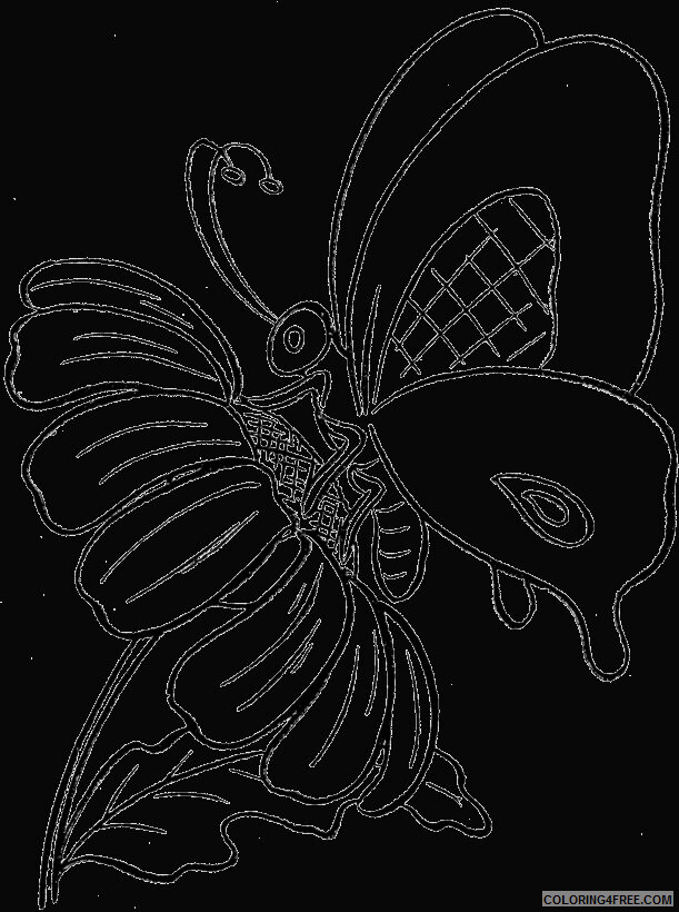 Butterfly Coloring Sheets Animal Coloring Pages Printable 2021 0611 Coloring4free