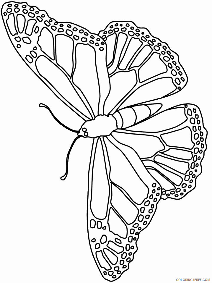 Butterfly Coloring Sheets Animal Coloring Pages Printable 2021 0612 Coloring4free