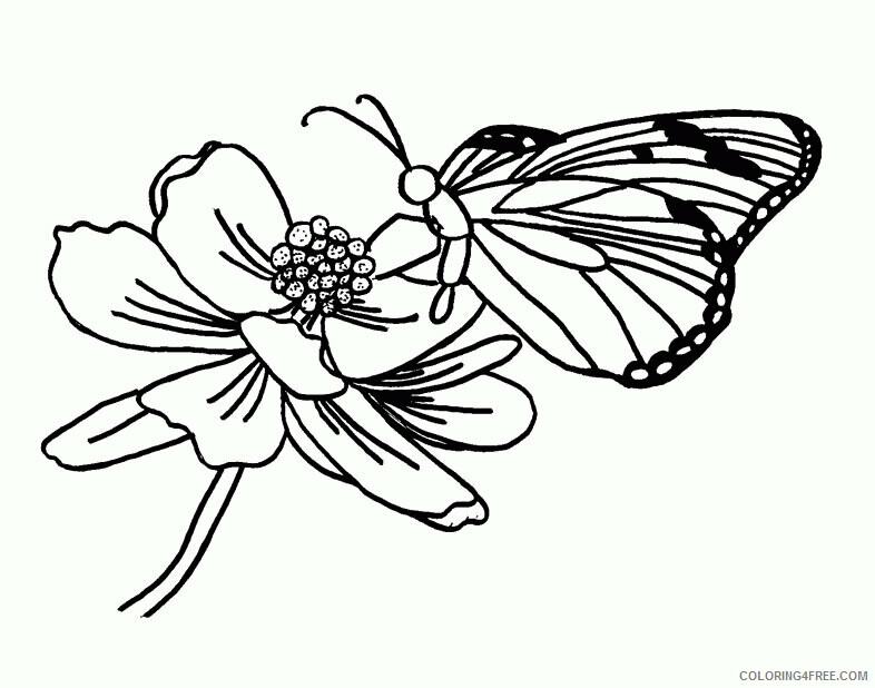 Butterfly Coloring Sheets Animal Coloring Pages Printable 2021 0614 Coloring4free