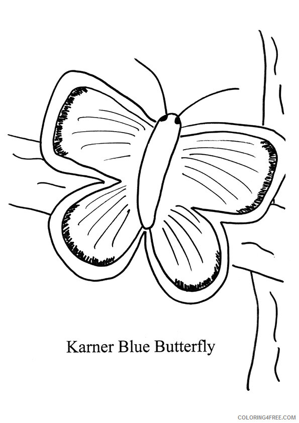 Butterfly Coloring Sheets Animal Coloring Pages Printable 2021 0624 Coloring4free