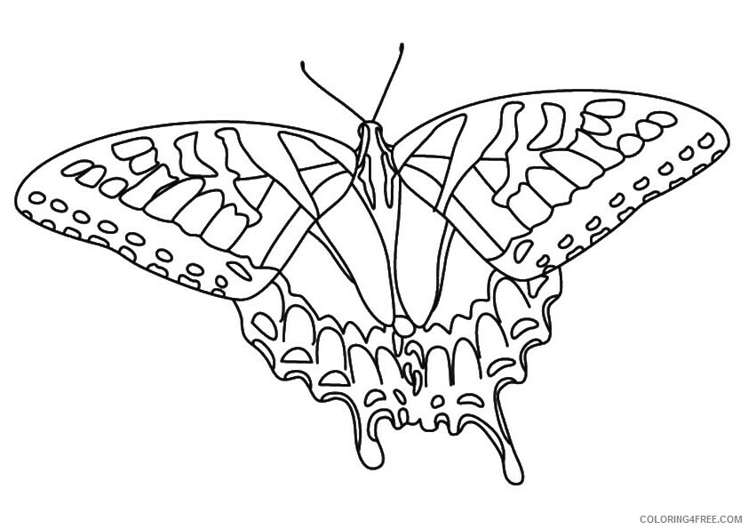 Butterfly Coloring Sheets Animal Coloring Pages Printable 2021 0625 Coloring4free