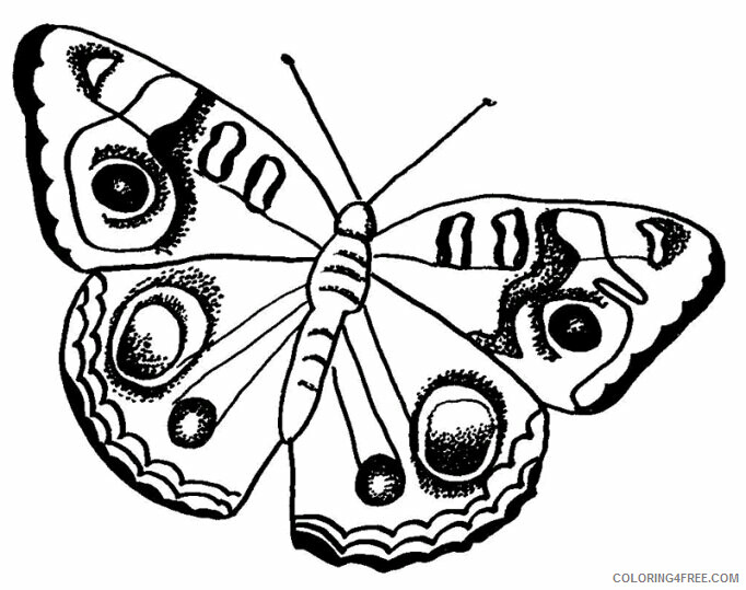 Butterfly Coloring Sheets Animal Coloring Pages Printable 2021 0626 Coloring4free