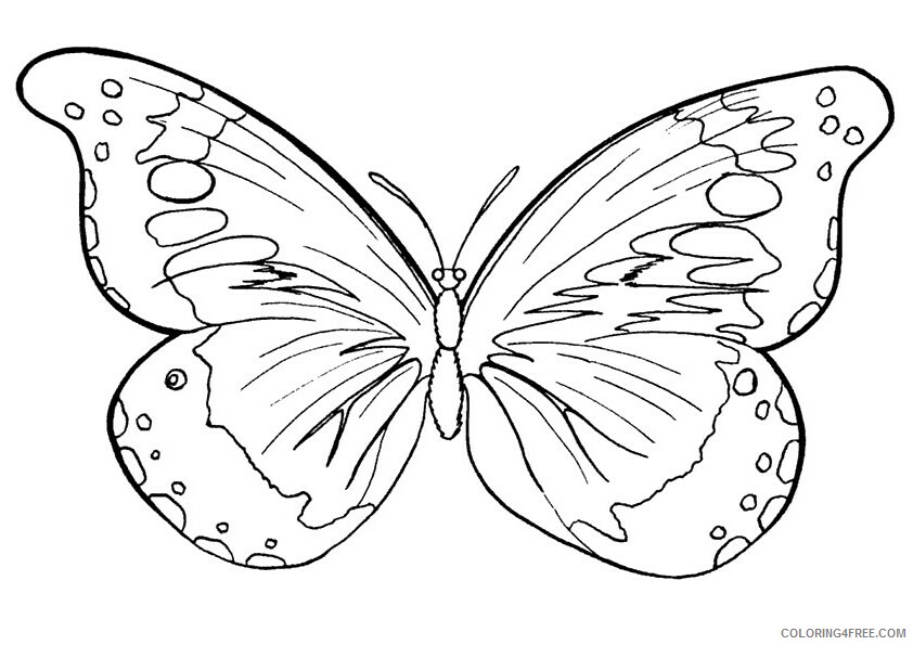 Butterfly Coloring Sheets Animal Coloring Pages Printable 2021 0638 Coloring4free