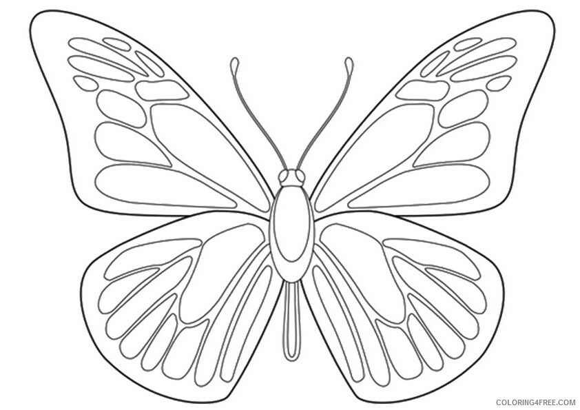 Butterfly Coloring Sheets Animal Coloring Pages Printable 2021 0643 Coloring4free