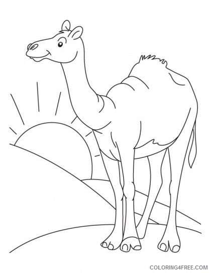 Camel Coloring Pages Animal Printable Sheets Camel Free 2021 0752 Coloring4free