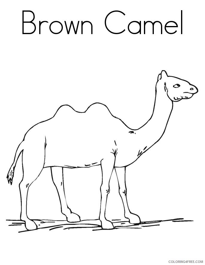 Camel Coloring Pages Animal Printable Sheets Camel Pictures 2021 0750 Coloring4free