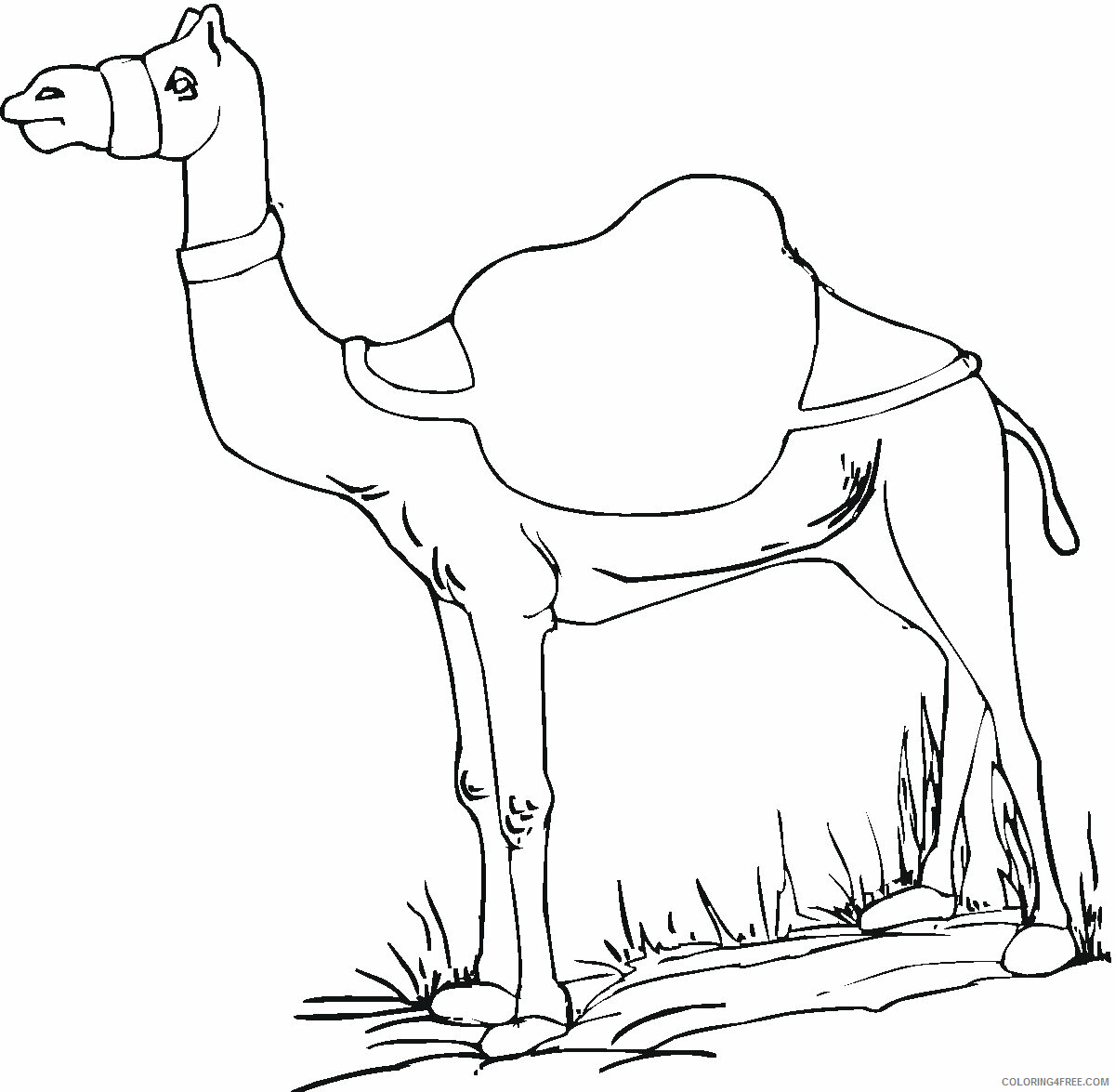 Camel Coloring Pages Animal Printable Sheets Camel Sheets 2021 0756 Coloring4free