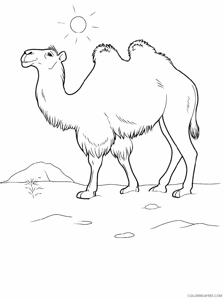 Camel Coloring Pages Animal Printable Sheets Camel animal 337 2021 0738 Coloring4free