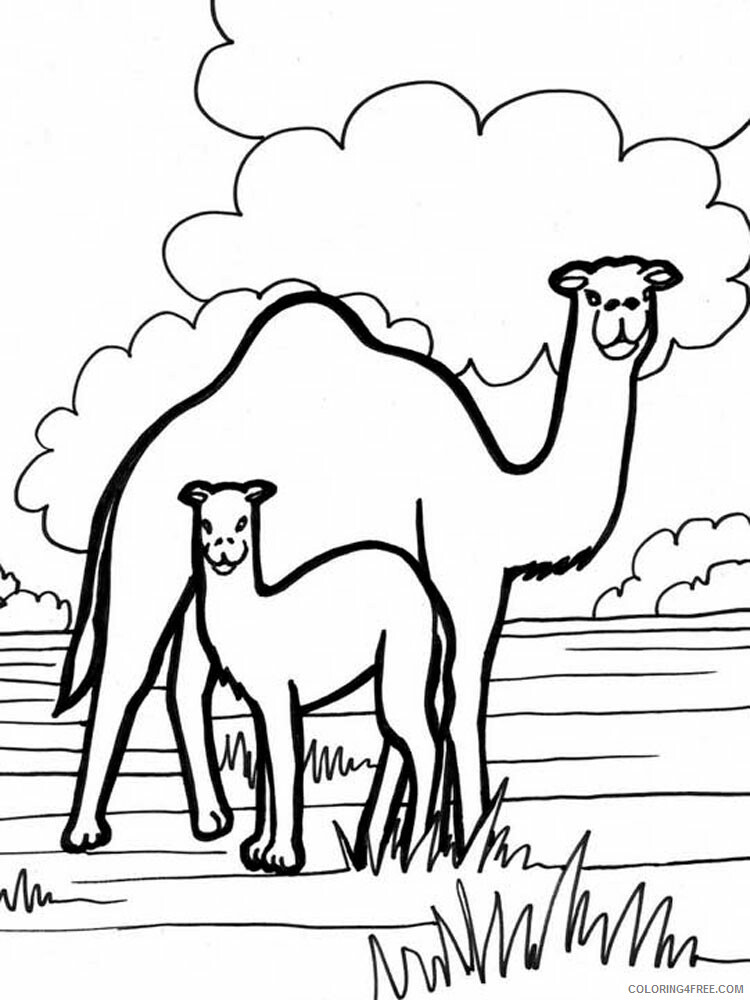 Camel Coloring Pages Animal Printable Sheets Camel animal 340 2021 0740 Coloring4free