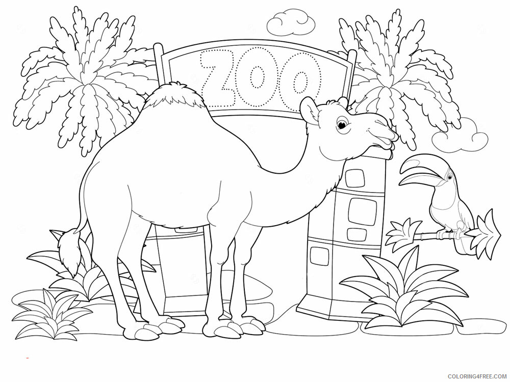Camel Coloring Pages Animal Printable Sheets Camel animal 349 2021 0746 Coloring4free
