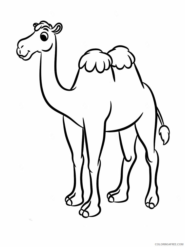 Camel Coloring Pages Animal Printable Sheets Camel animal 350 2021 0747 Coloring4free