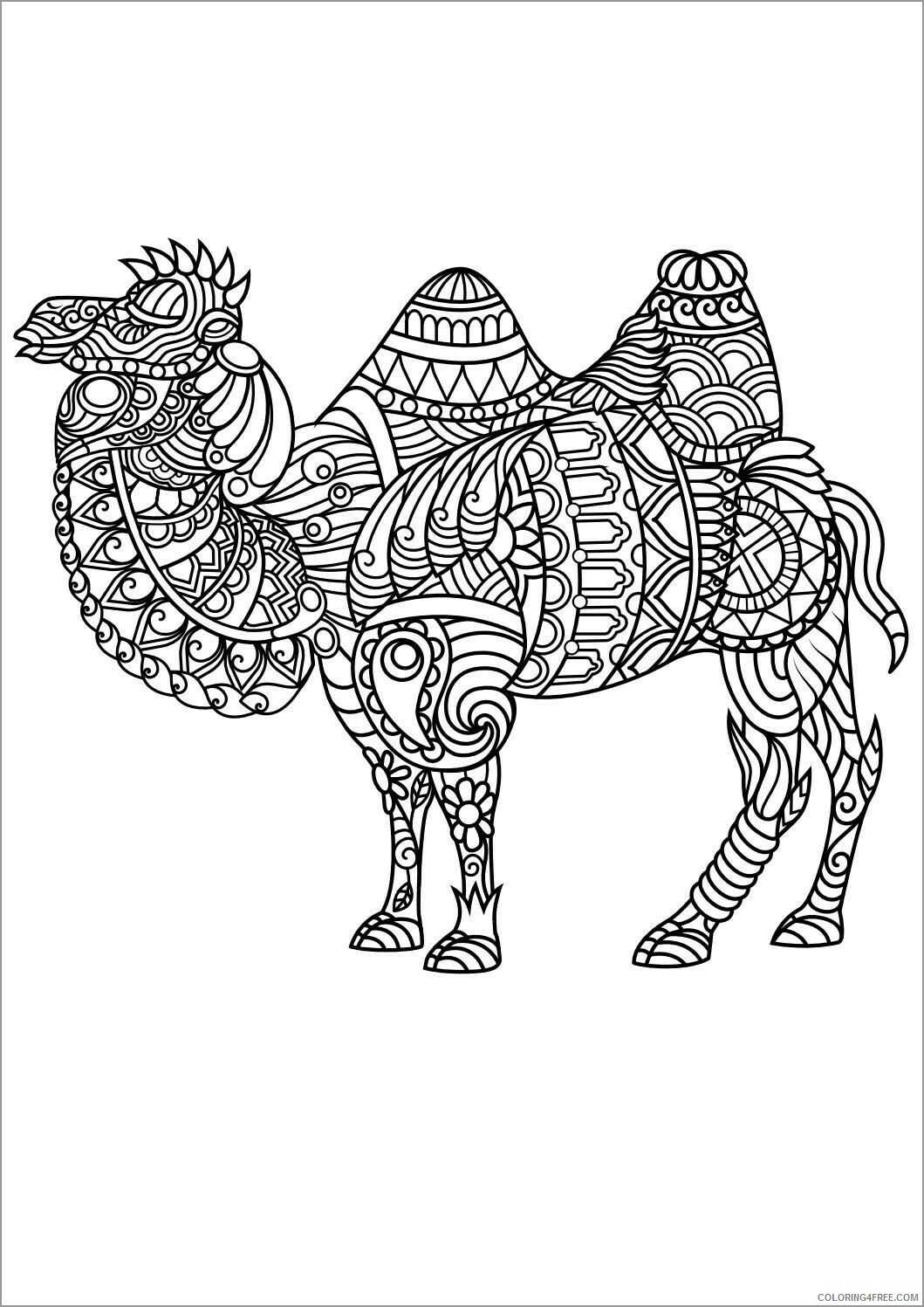 Camel Coloring Pages Animal Printable Sheets animal mandala camel 2021 0726 Coloring4free