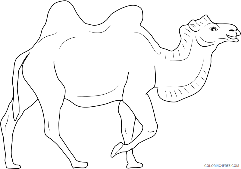 Camel Coloring Pages Animal Printable Sheets brown camel walking 2021 0725 Coloring4free