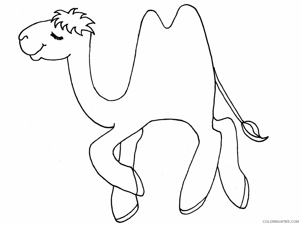 Camel Coloring Pages Animal Printable Sheets camel1 2021 0731 Coloring4free