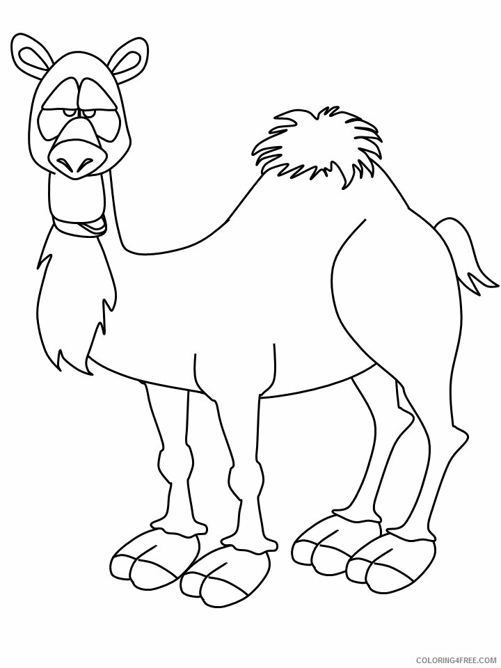 Camel Coloring Pages Animal Printable Sheets camel11 2021 0732 Coloring4free